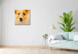 obraz-60x60cm-uroczy-gosc-stan-nowy