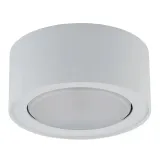 natynkowa-lampa-salonowa-flea-plafon-bialy-sufitowy-do-sypialni