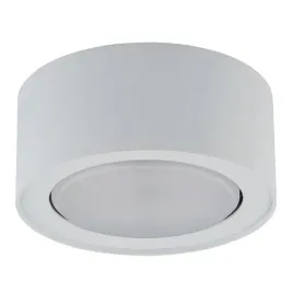 natynkowa-lampa-salonowa-flea-plafon-bialy-sufitowy-do-sypialni