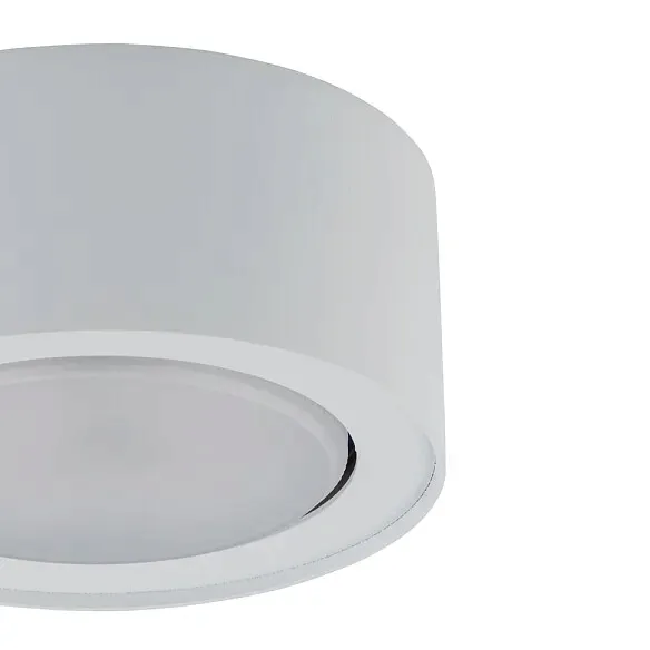 natynkowa-lampa-salonowa-flea-plafon-bialy-sufitowy-do-sypialni