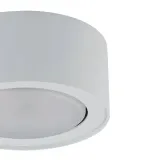 natynkowa-lampa-salonowa-flea-plafon-bialy-sufitowy-do-sypialni