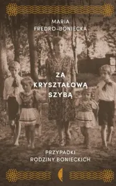 za-krysztalowa-szyba