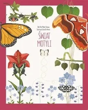 swiat-motyli