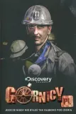 gornicy-pl