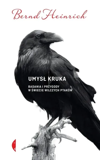 umysl-kruka