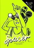 spacer