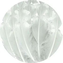 piorka-dekoracyjne-zakrecone-biale-aliga-20-cm-12-szt