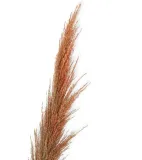 trawa-pampasowa-brazowa-naturalna-trawa-na-sztucznej-galazce-stan-nowy