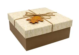 pudelko-prezentowe-ozdobne-dekoracyjne-c-20x20x8-cm-bez