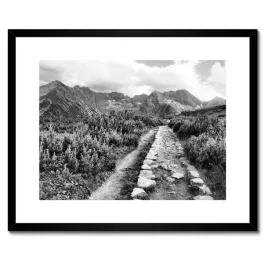 plakaty-w-ramie-50x40-tatry-polskie-gory-widok