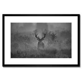 plakaty-w-ramie-60x40-jelen-we-mgle