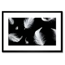 plakaty-w-ramie-60x40-biale-piorka-opadajace