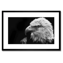 plakaty-w-ramie-60x40-niebieski-orzel-zwierze