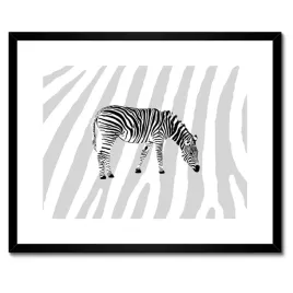 plakaty-w-ramie-50x40-zebra-paski