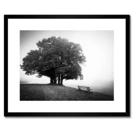 plakaty-w-ramie-50x40-pejzaz-w-szarosci-bw