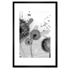 plakaty-w-ramie-40x60-dmuchawce-bandw