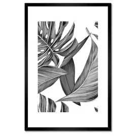 plakaty-w-ramie-40x60-monstera-w-szarosciach