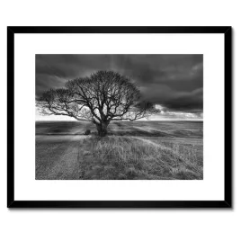 plakaty-w-ramie-50x40-piekny-zachod-slonca