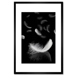 plakaty-w-ramie-40x60-spadajace-biale-piora