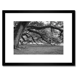 plakaty-w-ramie-40x30-potezne-deby