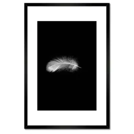 plakaty-w-ramie-40x60-delikatne-piorko-puszek