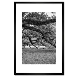 plakaty-w-ramie-40x60-potezne-deby