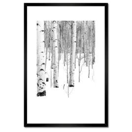 plakaty-w-ramie-40x60-zimowe-brzozki-drzewka