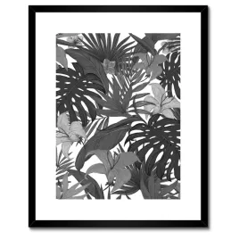 plakaty-w-ramie-40x50-monstera