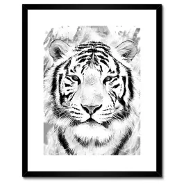 plakaty-w-ramie-40x50-tygrys-glowa-grafika