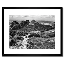 plakaty-w-ramie-50x40-tatry-polskie-gory-widok