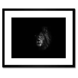 plakaty-w-ramie-50x40-lew-w-cieniu-krol