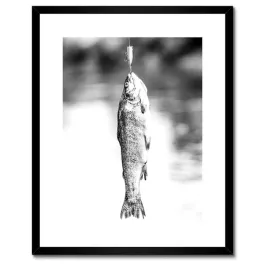 plakaty-w-ramie-40x50-pstrag-na-haczyku-ryba