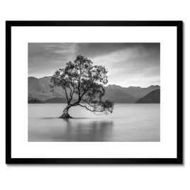 plakaty-w-ramie-50x40-samotne-drzewo