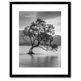 plakaty-w-ramie-40x50-samotne-drzewo