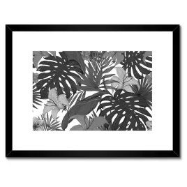 plakaty-w-ramie-40x30-monstera