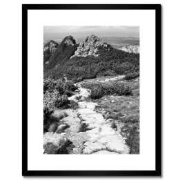 plakaty-w-ramie-40x50-tatry-polskie-gory-widok