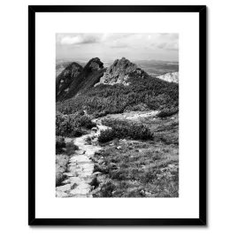 plakaty-w-ramie-40x50-tatry-polskie-gory-widok