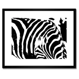 plakaty-w-ramie-50x40-zebra-paski-zwierzak