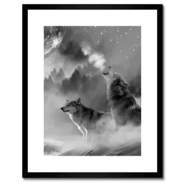 plakaty-w-ramie-40x50-wilk-wyjacy-do-ksiezyca