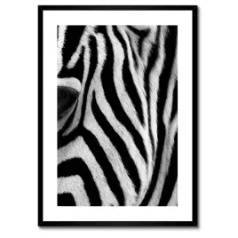 plakaty-w-ramie-50x70-czarno-biale-pasy-zebra