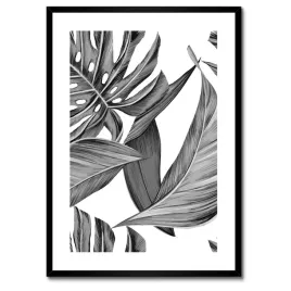 plakaty-w-ramie-50x70-monstera-w-szarosciach