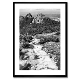 plakaty-w-ramie-50x70-tatry-polskie-gory-widok