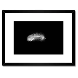 plakaty-w-ramie-40x30-delikatne-piorko-puszek