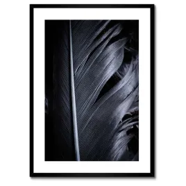plakaty-w-ramie-50x70-czarne-pioro-w-zblizeniu