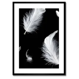 plakaty-w-ramie-50x70-biale-piorka-opadajace