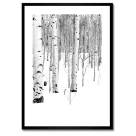 plakaty-w-ramie-50x70-zimowe-brzozki-drzewka