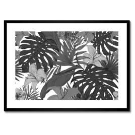 plakaty-w-ramie-70x50-monstera