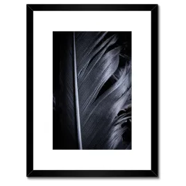 plakaty-w-ramie-30x40-czarne-pioro-w-zblizeniu