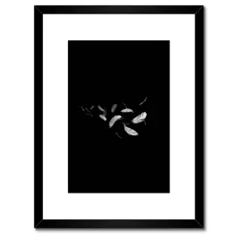 plakaty-w-ramie-30x40-latajace-ptasie-piora