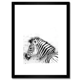 plakaty-w-ramie-30x40-zebra-paski